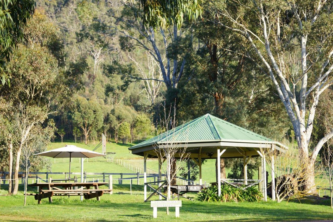 Halls On Falls Homestead Strath Creek Buitenkant foto